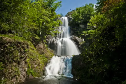 Une cascade de runes, où l'eau tombe en un voile blanc sur la roche, entourée d'une végétation luxuriante.