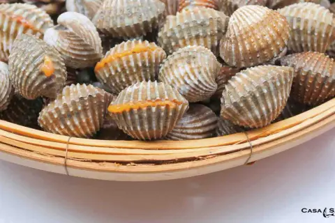 Berberechos al vapor, listos para disfrutar. Su concha rugosa y su interior anaranjado prometen un sabor marino intenso.