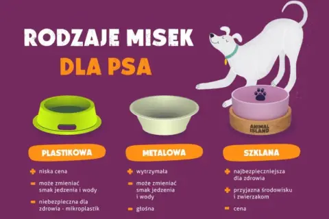 Jaka miska dla psa? Porównanie misek plastikowych, metalowych i szklanych. Miska szklana jest najbezpieczniejsza dla zdrowia i przyjazna środowisku.