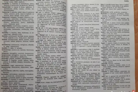 Słownik bliskoznaczny – wzbogac swoje słownictwo i unikaj powtórzeń
