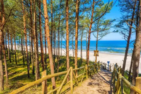 Ścieżka przez sosnowy las prowadzi na piaszczystą plażę nad Bałtykiem. Widok na morze i wybrzeże Pomorza Gdańskiego.