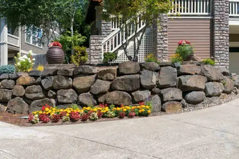 Natural stone retaining wall ideas: a sturdy wall of large rocks anchors a sloped yard, adorned with colorful flowers and planters.