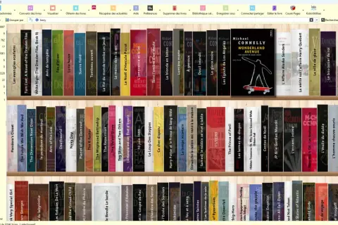 Une étagère remplie de livres numériques, organisés par titre. Le logiciel calibre ebook permet de gérer cette bibliothèque.