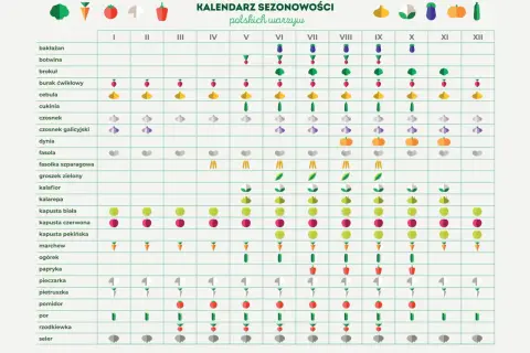 Kalendarz sezonowości polskich warzyw z ikonami warzyw i miesiącami.