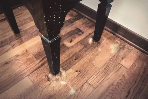 Gambe di un mobile in legno con fori e segatura sul pavimento. Potrebbe essere necessario un trattamento antitarlo fai da te.