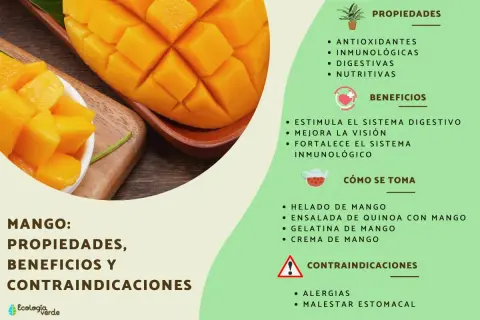 Mango: propiedades antioxidantes, inmunológicas y digestivas. Beneficios para la visión y el sistema inmune.