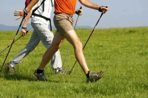 Deux personnes pratiquent la marche nordique en pleine nature, profitant des bienfaits de cette activité pour les seniors.