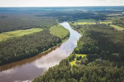 Szeroka, brązowa rzeka Nemen meandruje przez gęste, zielone lasy i pola uprawne. Widok z lotu ptaka ukazuje piękno dzikiej przyrody.