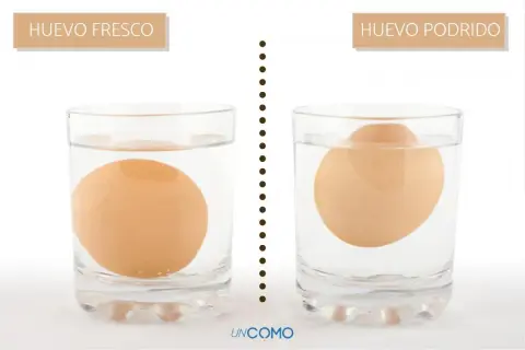 Un huevo fresco se hunde, uno podrido flota. Aprende como saber si un huevo esta bueno con este sencillo truco.