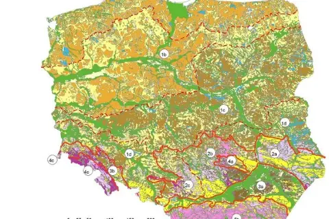 Zjawiska krasowe: jak powstają i gdzie je znaleźć w Polsce?