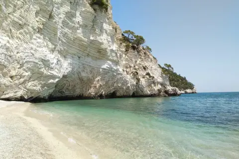 Spiaggia di ciottoli bianchi e mare cristallino ai piedi di una maestosa scogliera calcarea, con grotte marine. La **cala della pipa** è un angolo di paradiso.