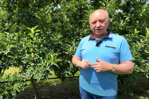 Mężczyzna w sadzie jabłoniowym opowiada o znaczeniu nawożenia, np. chlorkiem wapnia, dla zdrowia drzew.