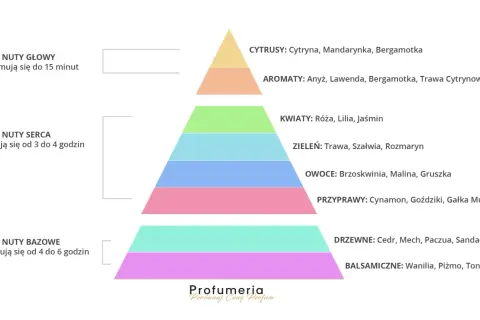 Piramide zapachowa perfum: nuty głowy, serca i bazy. Nuty bazowe to drzewne akordy cedru, mchu i sandałowca, tworzące trwały, drzewny zapach.