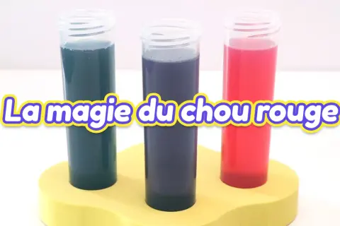 Trois éprouvettes aux couleurs vives (bleu, violet, rouge) montrent la magie du chou rouge pour tester le pH de l'eau sans testeur.