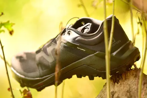 Buty Salomon Wildcross na drewnianym pniaku, otoczone zielenią. Gotowe na przygodę.