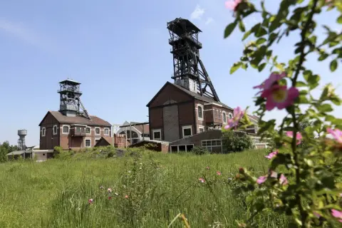 Anciens puits de mine à Lens, avec des tours métalliques imposantes et des bâtiments de briques rouges, entourés de verdure et de fleurs sauvages. Une belle invitation à la visite.