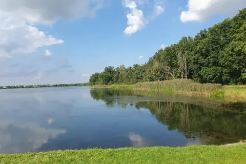 Spokojna tafla wody odbija chmury i zielony las nad zalewem bolimowskim.
