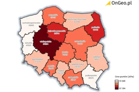 Mapa Polski z cenami gruntów. Wielkopolskie najdroższe, zachodniopomorskie najtańsze. Sprawdź, ile kosztuje hektar ziemi w Twoim regionie.