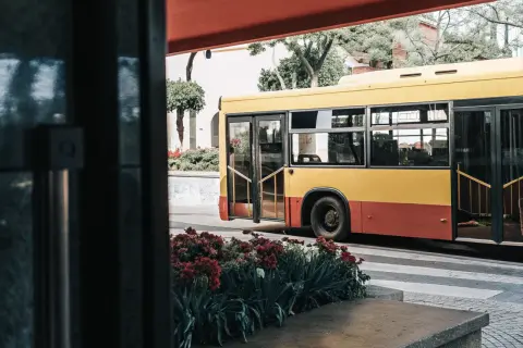 Żółto-czerwony autobus miejski, symbol madera transport publiczny, stoi na przystanku wśród kwitnących czerwonych kwiatów.
