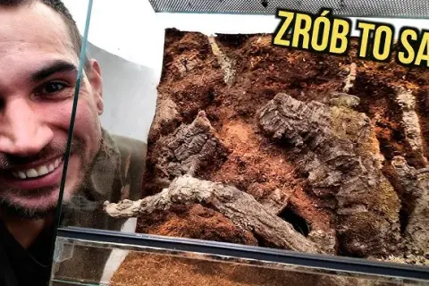 Jak zrobić tło do terrarium: proste metody i materiały, które zaskoczą
