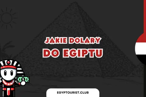 Faraon z dolarami pyta: jakie dolary do Egiptu? Słońce, piramida i flaga Egiptu w tle.