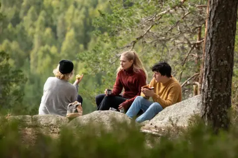 Vänner fikar på en klippa vid STF Undersvik med skogen som bakgrund.