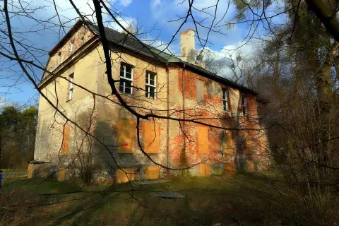 Zrujnowany pałac w Radojewie, z ceglanymi ścianami i zabitymi deskami oknami, otoczony dziką roślinnością.