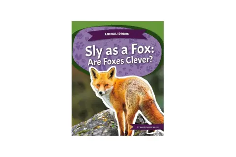 Rudy lis na kamieniu, okładka książki "Sly as a Fox: Are Foxes Clever?".