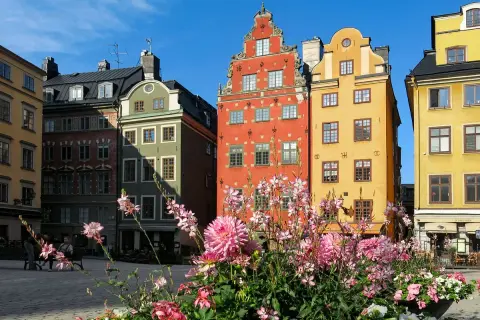 Färgglada hus på Stortorget, perfekt för ett hotell nära stortorget. Blommor i förgrunden.