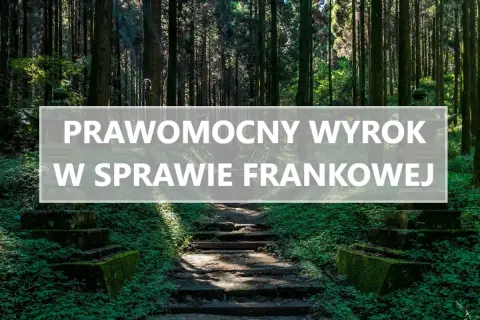 Kamienne schody w lesie, z napisem "Prawomocny wyrok w sprawie frankowej". Po długiej drodze, kiedy wyrok jest prawomocny po apelacji, można odetchnąć.