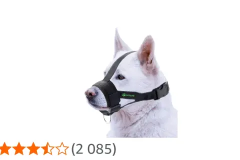 Un chien blanc porte une muselière en nylon noire, conçue pour le confort et la sécurité.