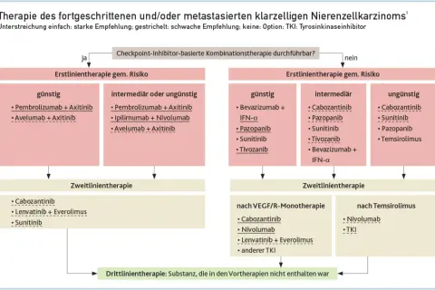 Flussdiagramm zur Therapie des Nierenzellkarzinoms, das Behandlungsoptionen basierend auf dem Risiko und der Vortherapie gemäß der nierenzellkarzinom leitlinie darstellt.