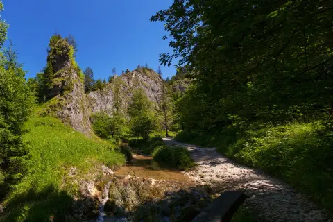 Malowniczy szlak przez Jaworki, Wąwóz Homole. Kamienista ścieżka wije się wśród zieleni, obok strumienia i skalnych zboczy.