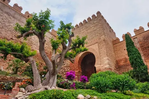 Ein alter Baum vor einer Festungsmauer mit einem Torbogen. Ein versteckter Ort in Andalusien, der zum Entdecken einlädt.