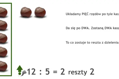 Ilustracja przedstawia kasztany ułożone w rzędy i działanie matematyczne 12:5=2 reszty 2.