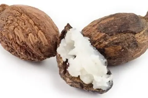 Drei Shea-Nüsse, eine davon geöffnet und mit cremig-weißer Sheabutter essbar gefüllt.