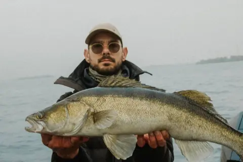 Ein Angler präsentiert stolz seinen Fang: ein prächtiger Zander, gefangen beim Zanderangeln im Sommer.