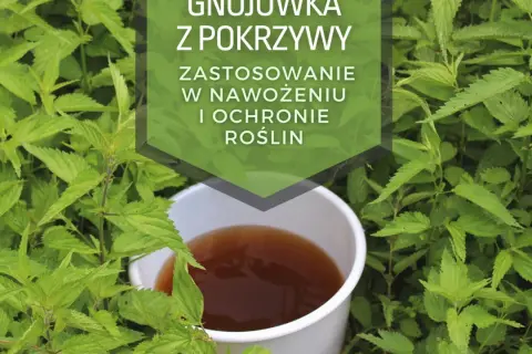 Gnojówka z pokrzywy, naturalny nawóz do podlewania kwiatów i ochrony roślin.