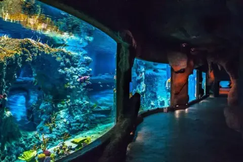 Oceanarium Świnoujście - co warto wiedzieć przed wizytą?