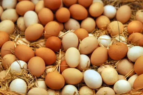 Un mucchio di uova fresche, marroni e bianche, su un letto di paglia. Per capire se le uova sono buone, osserva la loro freschezza.