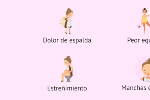 Ilustraciones de síntomas comunes en la semana 24 de embarazo: estrías, dolor de espalda, peor equilibrio, ardor, estreñimiento y manchas en la piel.