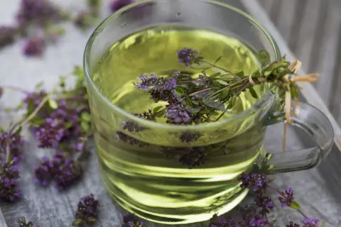 Ein Glas mit goldenem Thymiantee, umgeben von frischen Thymianblüten. Vielleicht ein bisschen zu viel Thymiantee für einen Schluck.