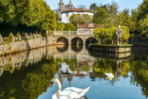 Un cisne blanco nada en un estanque frente a un puente de piedra y un palacio, un lugar encantador que ver cerca de Santiago de Compostela.