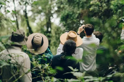 Följ med på en djungelvandring i Uganda! Här får du spännande fakta om landets rika natur och djurliv.
