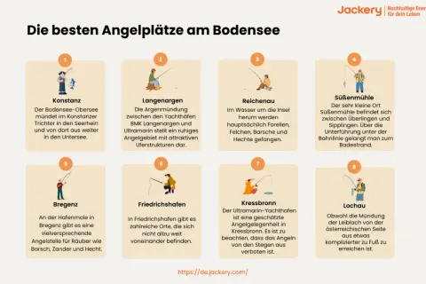 Angeln am Bodensee: Hecht-Paradies bei Bregenz. Auch in Reichenau und Konstanz locken gute Fanggründe.