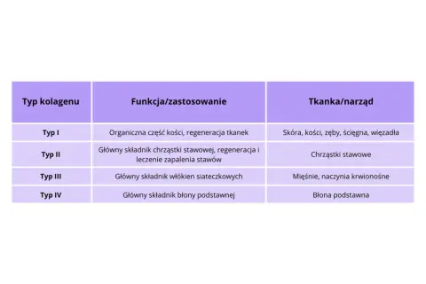 Tabela porównująca typy kolagenu: I (skóra, kości), II (chrząstki stawowe), III (mięśnie), IV (błony). Pomaga zdecydować, jaki kolagen wybrać.