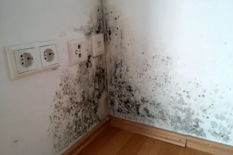 Stockflecken an der Wand, hier in einer Ecke nahe Steckdosen, deuten auf Feuchtigkeitsprobleme hin. Ursache für Schimmelbildung.