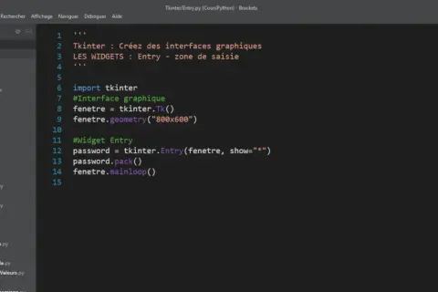 Code Python utilisant tkinter pour créer une fenêtre avec un champ de saisie (Entry) pour un mot de passe.