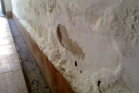 Pared con eflorescencias salinas y desconchones, indicativo de humedad por capilaridad. Se busca el mejor sistema para quitar humedades por capilaridad.