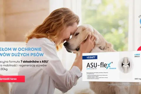 Kobieta tuli swojego psa, obok opakowanie suplementu ASU-flex, który dzięki dużej zawartości duphalyte wspiera stawy dużych psów.
